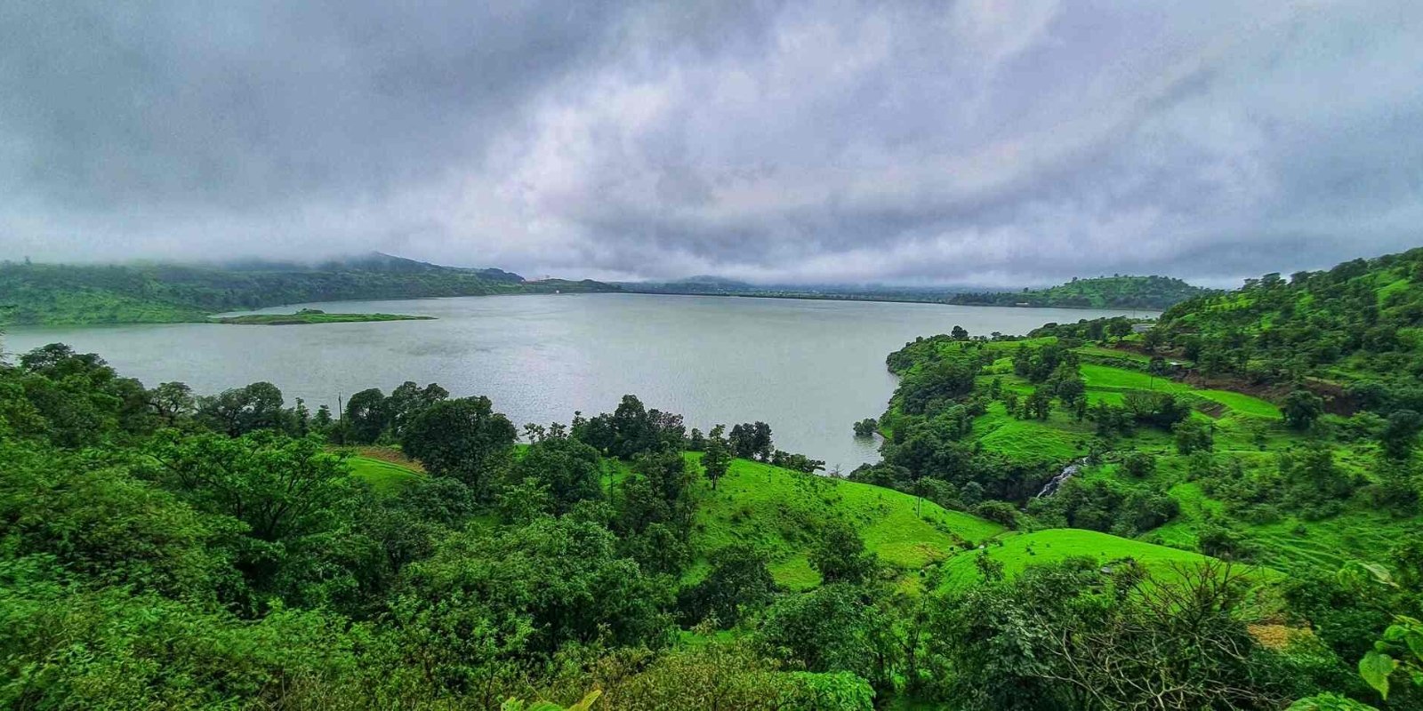 wordpress theme listing images (1)